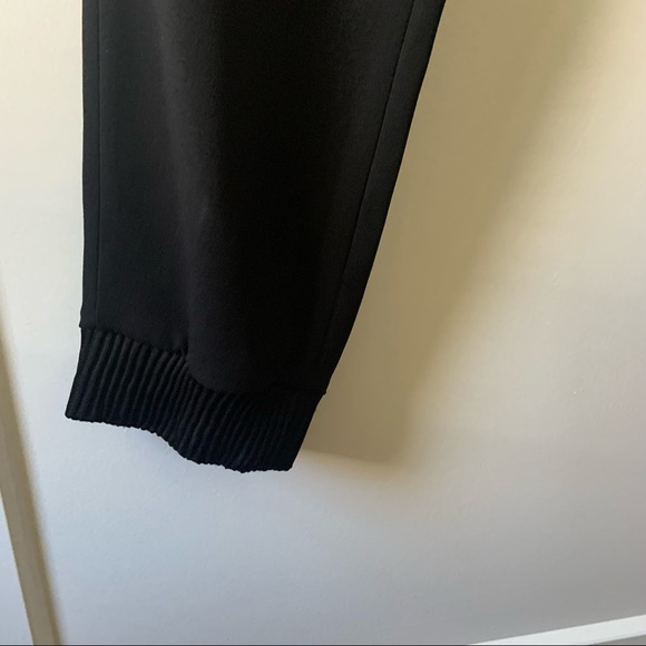 Artitzia Babaton pants - Picture 6 of 6